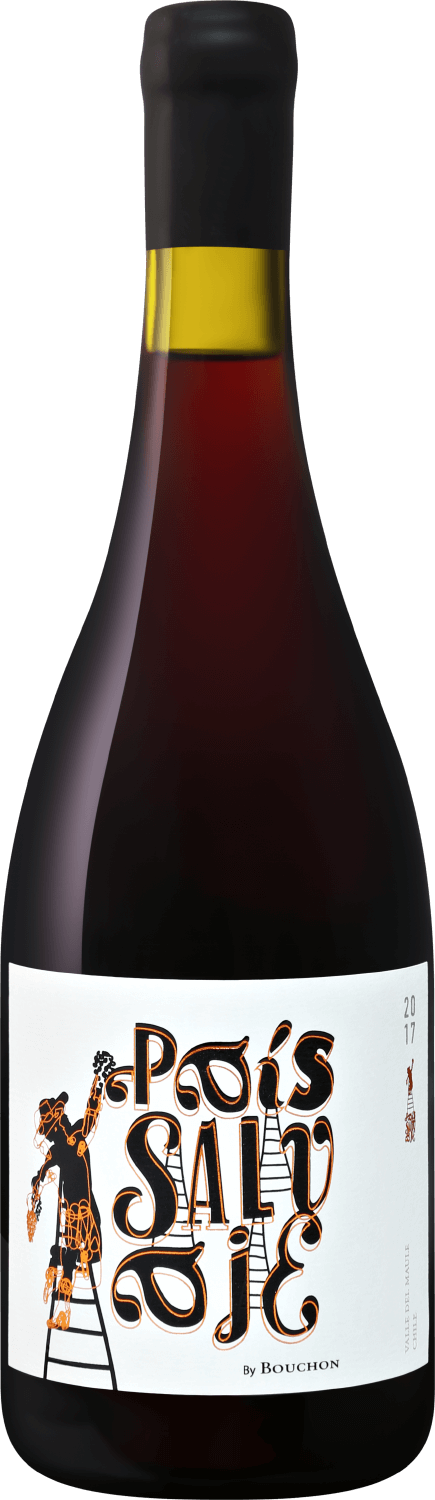 Паис Сальвахе Мауле DO Х. Бушон 2023 0.75&nbsp;л