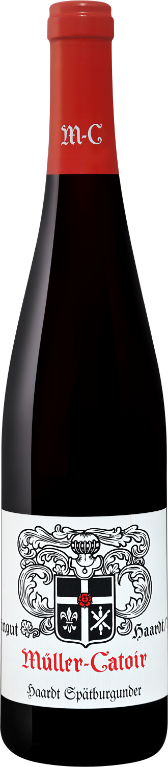 Шпетбургундер Хаардт Пфальц Мюллер-Катуар 2020 0.75&nbsp;л