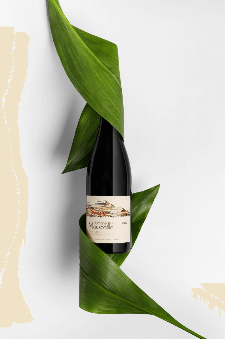 Пино Нуар От Валле де л’Од IGP Домен де Мускайо 2019 0.75&nbsp;л