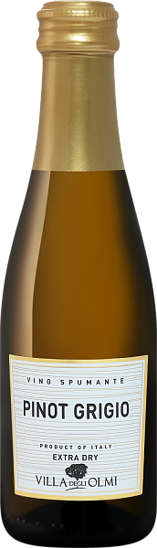 Pinot Grigio Spumante Extra Dry Villa degli Olmi, 0.2 л в Москве