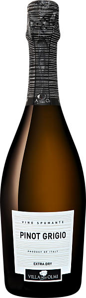 Pinot Grigio Spumante Extra Dry Villa Degli Olmi, 0.75 л в Москве