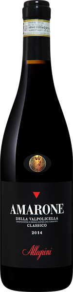 Amarone della Valpolicella DOCG Classico Allegrini, 0.75 л в Москве