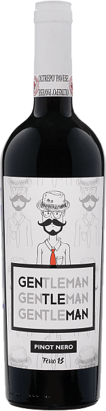 Gentleman Oltrepo Pavese DOC Ferro 13, 0.75 л в Москве