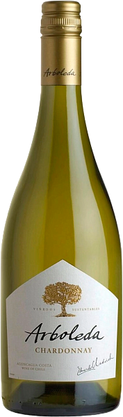 Chardonnay Aconcagua Costa DO Vina Arboleda, 0.75 л в Москве