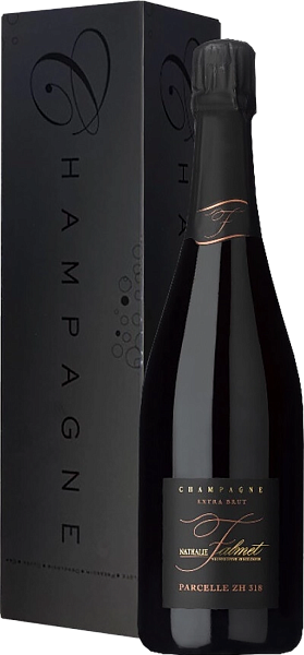Nathalie Falmet Cuvee ZH 318 Champagne AOC (Подарочная упаковка), 0.75 л в Москве