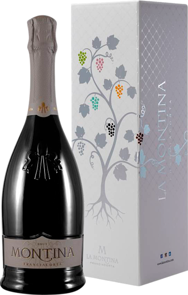 Franciacorta DOCG Brut La Montina (Подарочная упаковка), 0.75 л в Москве