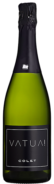 Vatua Extra Brut Classic Penedes DO Colet, 0.75 л в Москве