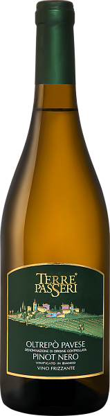 Игристое вино Terre Passeri Pinot Nero Oltrepo Pavese DOC Cantine Pirovano, 0.75 л в Москве